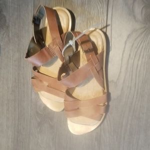 COPY - El Naturalista new